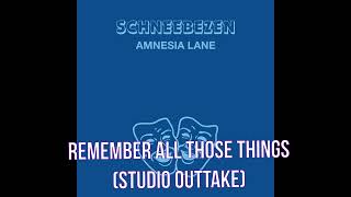 Schneebezen - Amnesia Lane - Remember All Those Things (Studio Outtake)