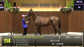 2016北海道サマーセール1日目 上場番号101～150