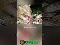 嚇！被犰狳啃了整個頭部的蛇，怎麼身體還在動？ animals 華哥説動物 動物 wildlife