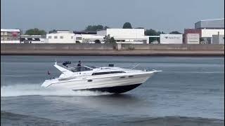 Bayliner avanti 3555