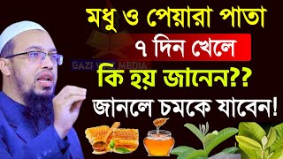 মধু ও পেয়ারা পাতা ৭দিন খেলে কি হয় জানেন? জানলে চমকে যাবেন আপনি! আহমাদুল্লাহ।Feb 11=20258:45 AM