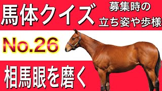 【一口馬主】馬体クイズ　No.26 馬体の見方　実践編 一口馬主の出資やパドックからの馬券に活かせる！　horse race   racehorse Japan