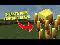 5 Fakta Unik Tentang BLAZE di Minecraft