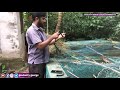 fish tank overflow system malayalam ഇനീം ഏതു മഴയത്തും വെള്ളം കവിഞ്ഞുപോകില്ല