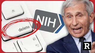 Watch Congressman's REACTION when he learns what Dr. Fauci's just did | Redacted with Natali Morris