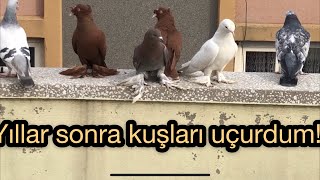 YILLAR SONRA KUŞLARI UÇURDUM!!!