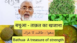 बथुआ - ताक़त का खजाना | بتھوا -- طاقت کا خزان | Bathua - A treasure of strength