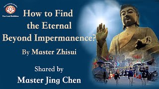 How to Find the Eternal Beyond Impermanence? | by Master 智隨