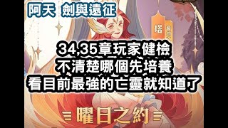 劍與遠征 34,35章玩家健檢 不清楚哪個先培養 看目前最強的亡靈就知道了 #阿天 #AFKARENA