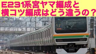 【新年一発目の動画！】＃E231系宮ヤマ　＃E231系の横コツ　ヤマと横コツはどう違うの？