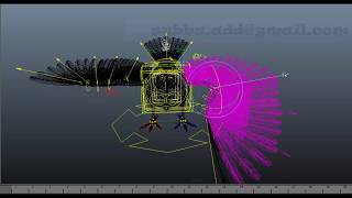 Python Scripting : Auto Bird Rigging In Maya -By Subbu Addanki.mov