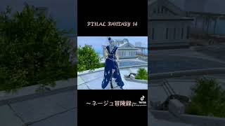 FINAL FANTASY 14〜ネージュ冒険録〜