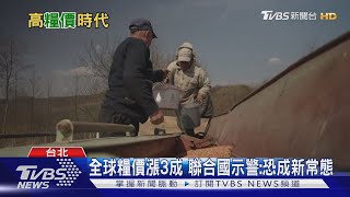 烏俄戰爭砸全球飯碗 嚴重糧食不安全人口暴增一倍｜十點不一樣20220607