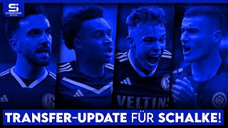 Transfer-Update Schalke: So steht es um Topp, Ouedraogo, Prtajin, Baumgartl, Müller und mehr!