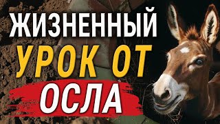 Секрет Успеха от Осла! Как подняться с самого Дна? Притча, которая перевернет ваше сознание!