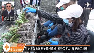 解決缺工問題  花蓮農改場推廣芋苗種植機