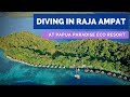 Diving in Raja Ampat at Papua Paradise Eco Resort