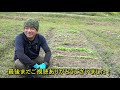 【超有益】秋冬野菜の密植パターンと栽培ポイントを細かく解説！