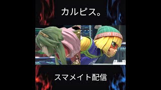 【スマブラSP】楽しく明るくやりたいスマメイト