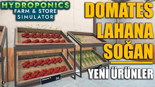 YENİ SEBZE ÜRÜNLERİ YETİŞTİRİYORUZ !! DOMATES - LAHANA - SOĞAN #7 | HYDROPONICS FARM !!