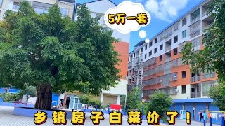 乡镇房子白菜价，最低5万一套，楼下就是幼儿园，上学也很方便！