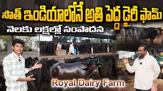 సౌత్ ఇండియాలోనే అతిపెద్ద డైరీ ఫామ్ || Royal Dairy Farm || Biggest Dairy Farm in India || #dairyfarm