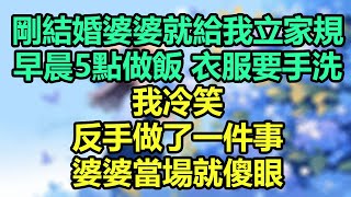 剛結婚婆婆就給我立家規，早晨5點做飯衣服要手洗，我冷笑：反手做了一件事，婆婆當場就傻眼！#楚楚故事#心書時光#為人處事#生活經驗#情感故事#唯美频道#爽文