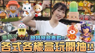 各式各樣盒玩開抽！越特別越喜歡！｜Sandykaka