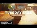 TUESDAY JAZZ: Autumn Morning Cafe Music - Jazz & Bossa Nova Instrumental Music in Cozy Coffee Shop🍂