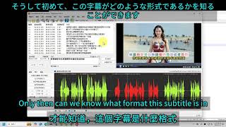 Subtitle Edit sets the subtitle display size to 30 or more. It is simpler to use .srt format.