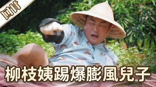 《好戲回甘》愛的榮耀 EP204 柳枝姨踢爆膨風兒子