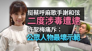 挺蔡呼麻歌手謝和弦二度涉毒遭逮 許聖梅痛斥：公眾人物最壞示範