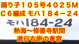 踊り子105号 4025M モハ184-24 熱海〜修善寺駅間 進行右側の車窓