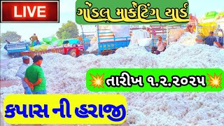 કપાસના બજાર ભાવ / ગોંડલ કપાસના બજાર ભાવ / આજના કપાસના ભાવ / ગોંડલ માર્કેટિંગ યાર્ડ / 1.2.2025