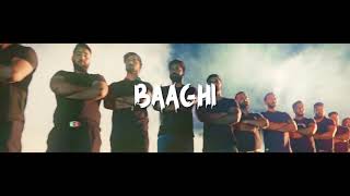Jigra | baaghi | new latest punjabi full video