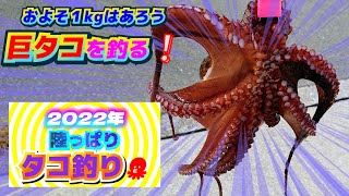 男鹿【タコ釣り】Kg級のデカタコGET!!