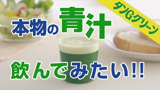 生搾り　無添加　大分県産大麦若葉　【青汁】タンＧグリーン【本物】