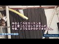 【賃貸】diy でカーテンレール上に簡易キャットウォーク設置【31週目】