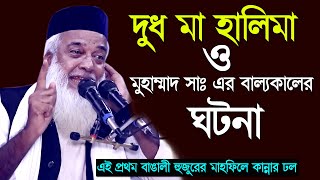 দুধ মা হালিমা ও মুহাম্মাদ সাঃ এর লালন পালনের বিশেষ ঘটনা । মাওঃ হাফেজ মোখলেছুর রহমান বাঙালী ।Waz 2020