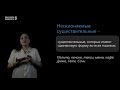 Морфологические признаки имени существительного. Видеоурок 5. Русский язык 6 класс