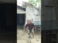 mau ketawa takut dosa komedi lucu bikin ngakak hiburan warga+62 viral videos funny shorts