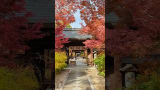 梨木神社⛩️　京都紅葉🍁穴場スポット　京都🌅早朝散歩♪♫