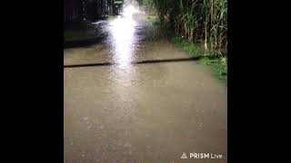 Flash Flood update around Johor (1.3.2023)
