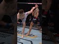 Head Kick Out of Nowhere From Edmen Shahbazyan