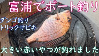 【ボート釣り】秋にとみうらマリンボートさんでダンゴ釣りとトリックサビキで五目釣りをしてみたら赤い大きなやつが釣れました【海釣り】