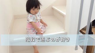 【生後11ヶ月】赤ちゃんは階段が好き【自然体・垂れ流し】