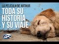 ARTHUR el Perro Ecuatoriano (Toda su historia y su viaje que le cambió la vida hecho película HD)