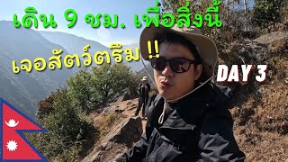 ลุยหิมาลัย : EP.3 พาเปิดเส้นทางใหม่ คนเดินน้อย แต่วิวหลักล้าน!!! เนปาล #langtang #nepal