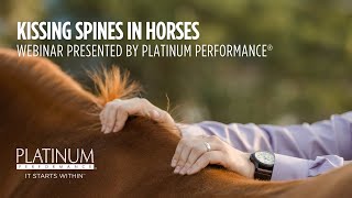 Kissing Spines in Horses - Webinar Presented by Platinum Performance