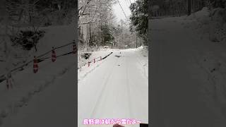 雪降ってるよ〜☃️ #長野県 #大町市 #雪 #びっくり #冬 #真っ白 #寒い #怖い